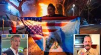 California sheriff says Newsom âencouragedâ LA riots as ICE arrests violent illegal aliens